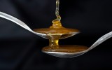 fake honey