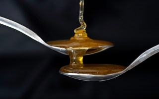 fake honey