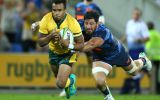 Wallabies Pumas on gold Coast