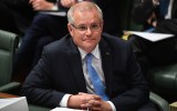 scott morrison