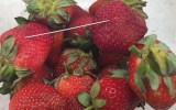 needles strawberries