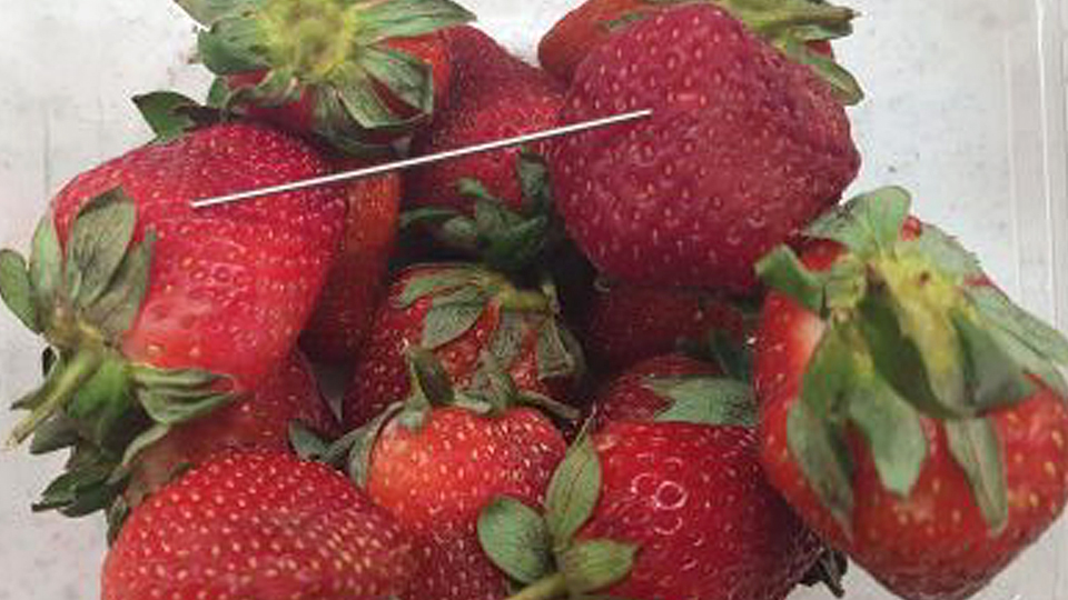 needles strawberries