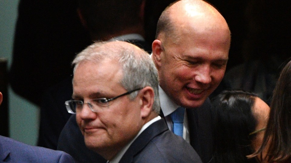 newspoll analysis points to coalition wipeout