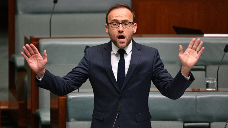 dutton au pairs no confidence