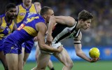 afl eagles magpies