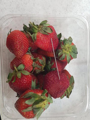 strawberry needle