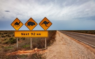 nullarbor