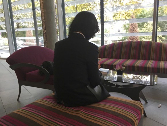 meng missing interpol