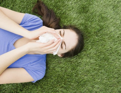 Pollen from grasses is one of the most common causes of hay fever.