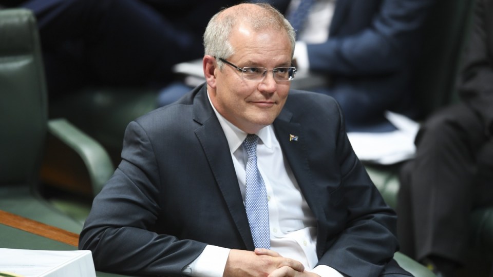 scott morrison newspoll Phelps