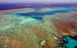 coral-bleaching-great-barrier-reef oceans
