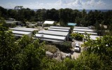 high court refugees