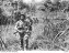 Diggers advance to confront HJapan's invaders at the height of the conflict in 1942.
