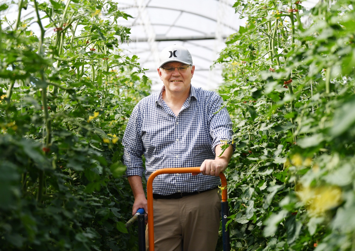 visas changed to help farmers