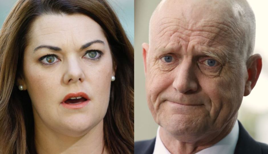 defamation hanson young