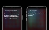 siri on an apple iphone