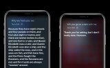 siri on an apple iphone