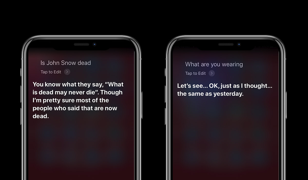 siri on an apple iphone