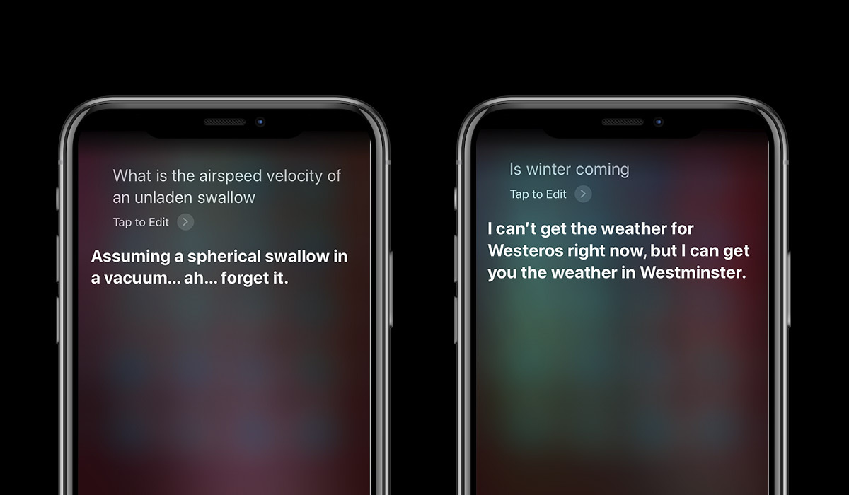 siri on an apple iphone