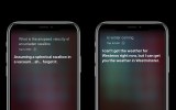 siri on an apple iphone
