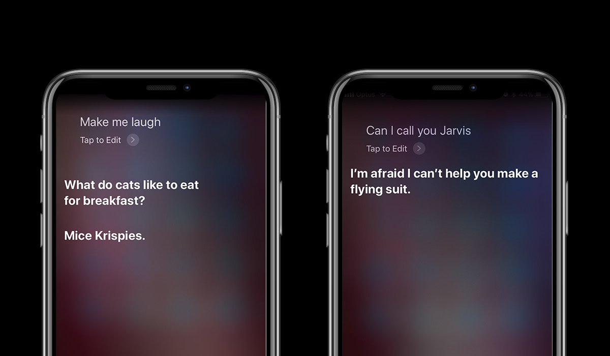 siri on an apple iphone
