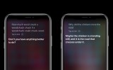 siri on an apple iphone