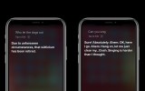 siri on an apple iphone