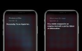 siri on an apple iphone