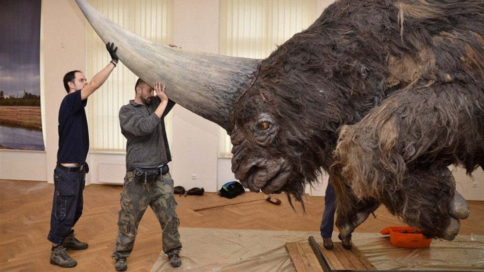 Siberian unicorn