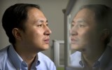 chinese gene editing