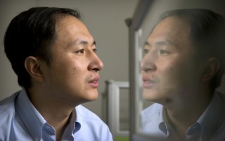 chinese gene editing