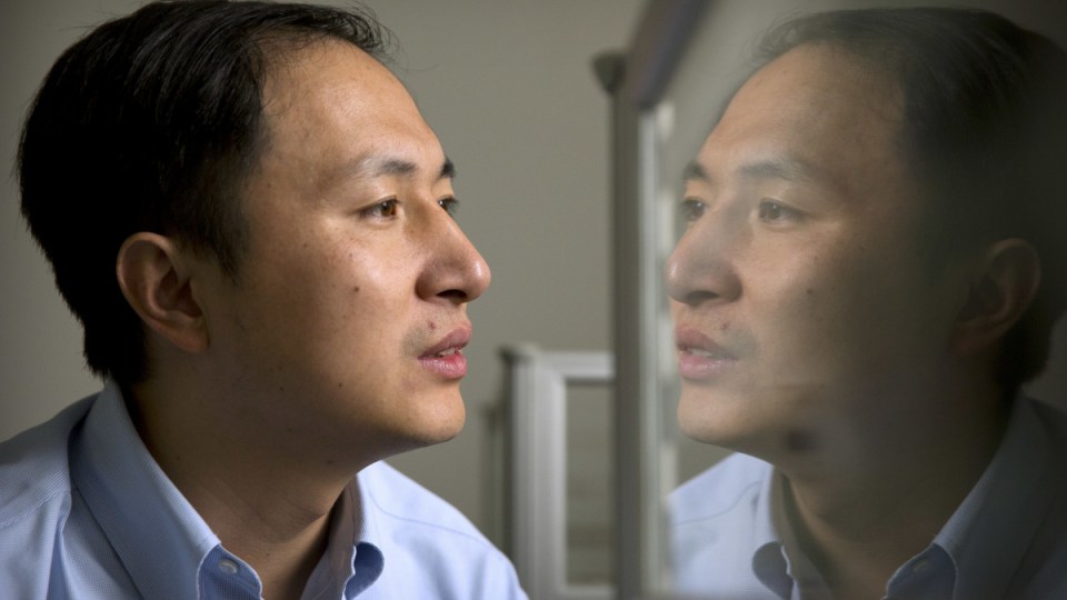 chinese gene editing
