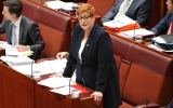 ASIS Australian spies license to shoot