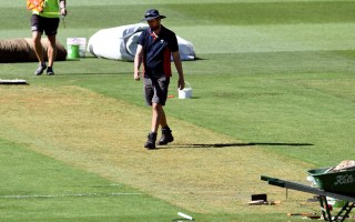 Cricket