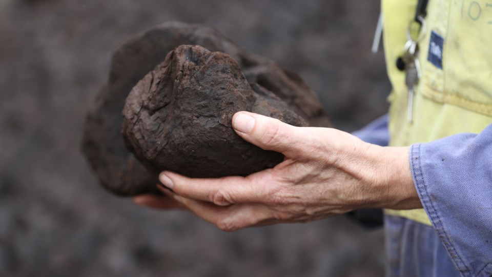 I miner handling a lump of coal.