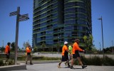 opal tower builder sue engineer