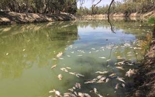 scott morrison climate