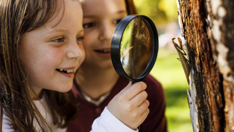 We must learn to care more about insects to help save them.