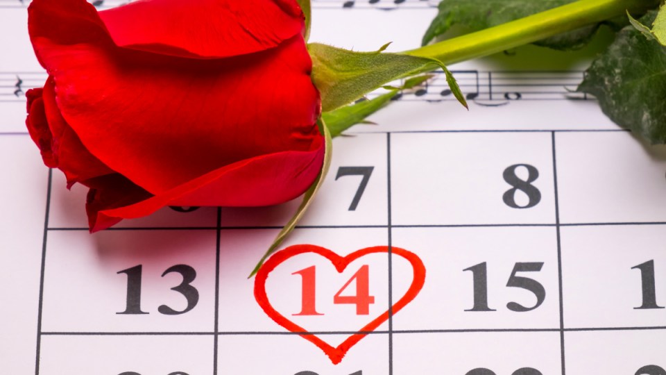 valentine's day