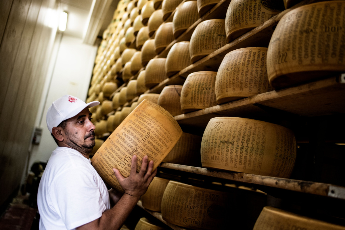A man hoists a wheel of parmesan cheese on to a shelf.