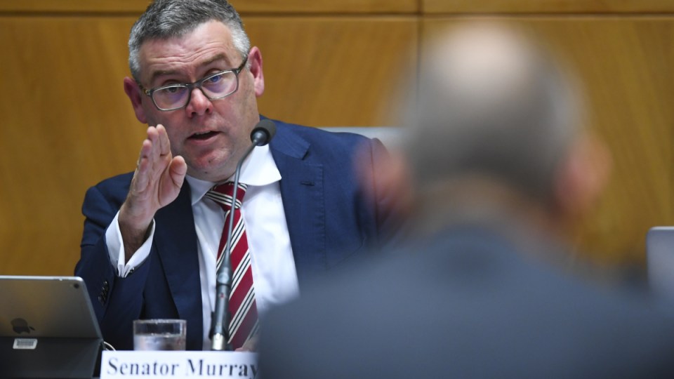 paladin manus island senate