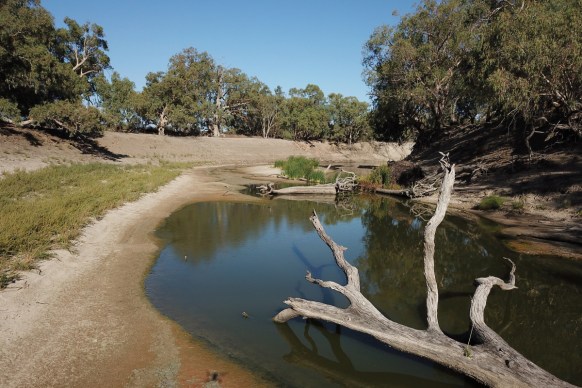 darling river drought