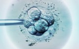 monash ivf