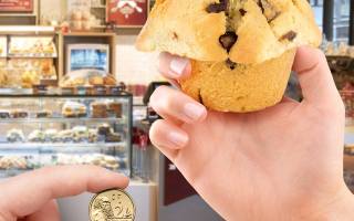 muffin break