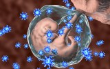 Infection-mothers-autism