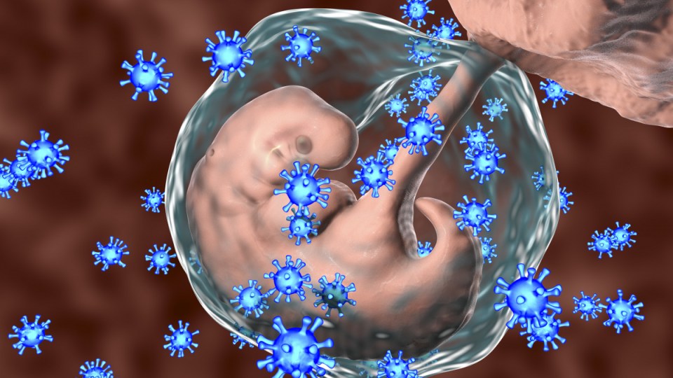 Infection-mothers-autism