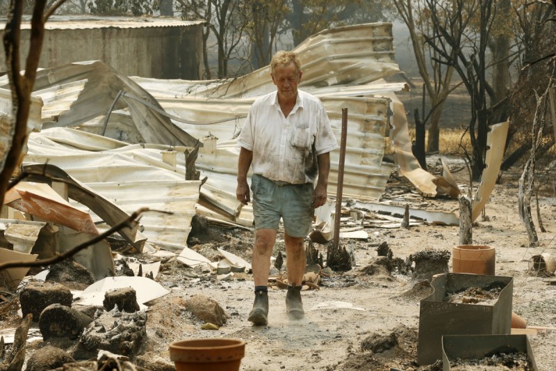 tonimbuk-fire-rex-newton