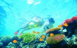 barrier reef budget