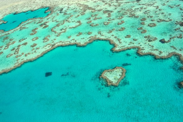 barrier reef budget