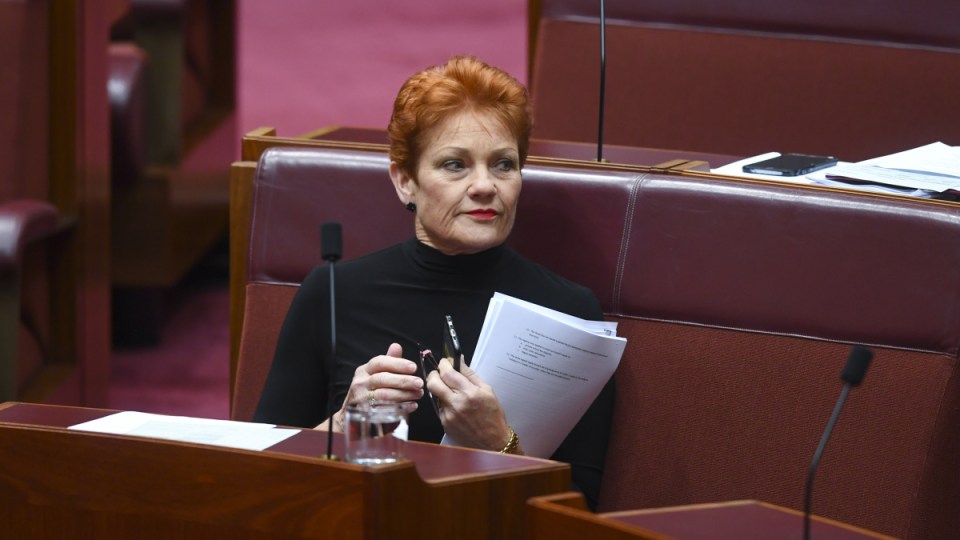 pauline hanson one nation